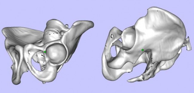 Case 4_2