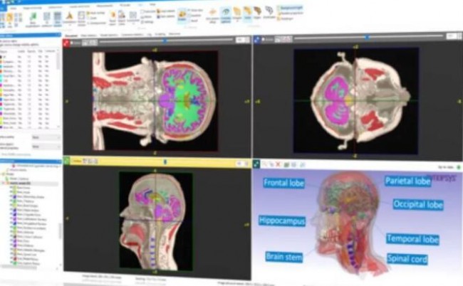 Medical_Synopsys