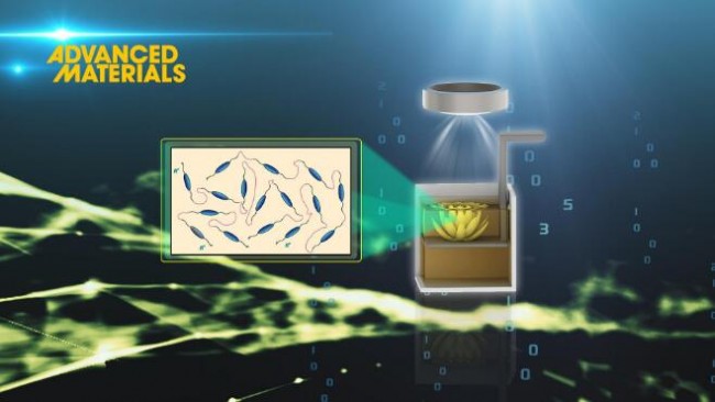 Advanced materials_1