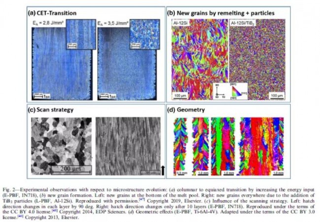 Springer_pera_Study_2