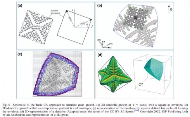 Springer_pera_Study_6