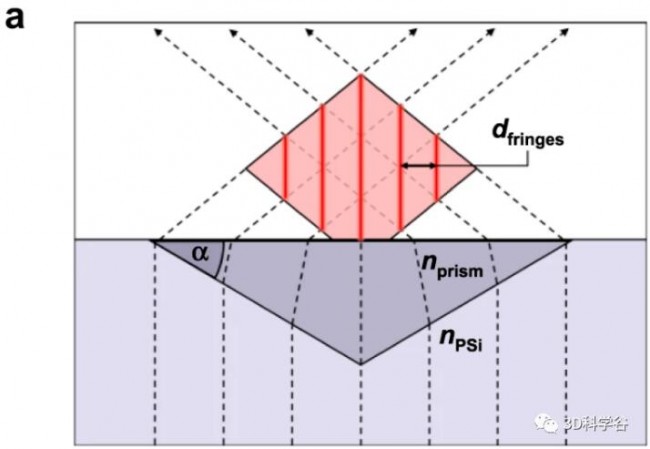 DLW_Study_3