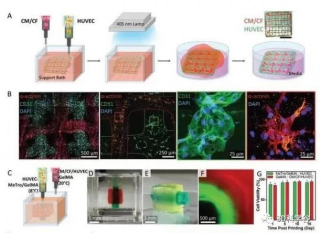Advanced materials 2
