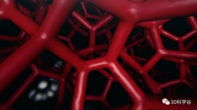 Porsche_Seat_2