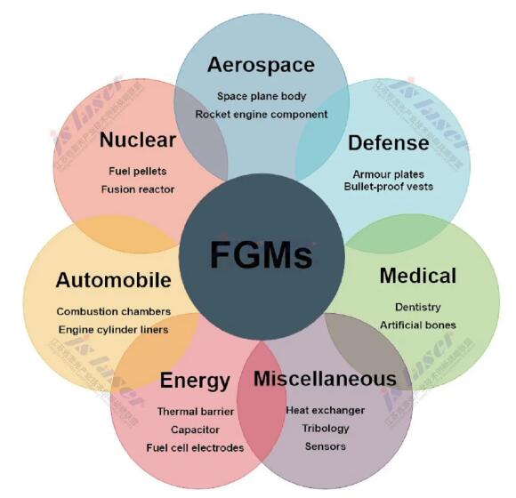 FGMS