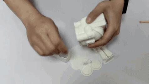 BOVH_Raise3D_2