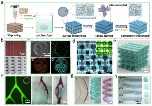 artical_Shenzhen Univeristy_2