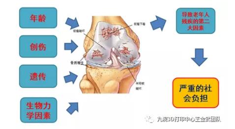 knee_2