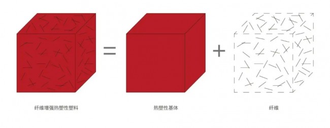 Raise3D_Fib_2