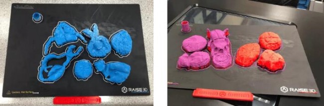 Raise3D_School_3