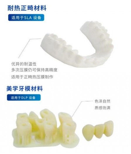 Union Tech dental_Tooth_2