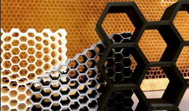 nature_Bee