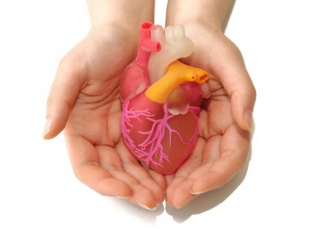 heart