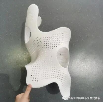 矫正器_3D