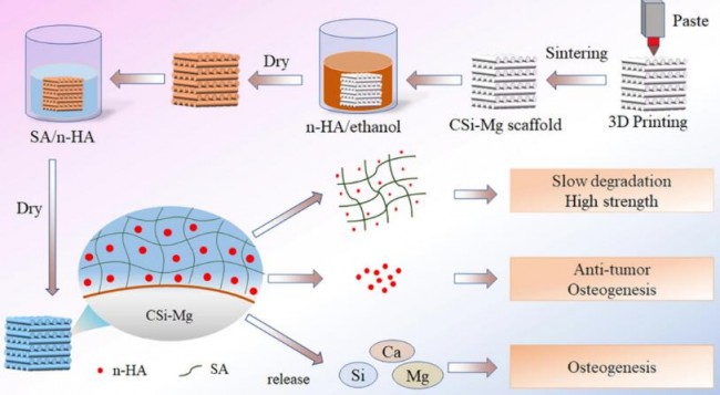 article_bioceramic_1