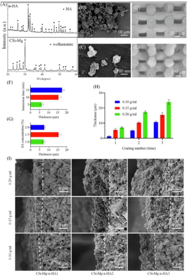 article_bioceramic_2