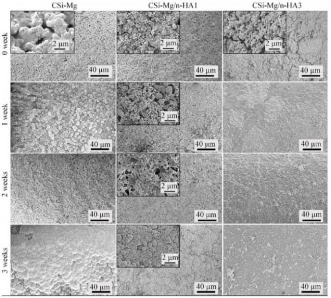 article_bioceramic_4
