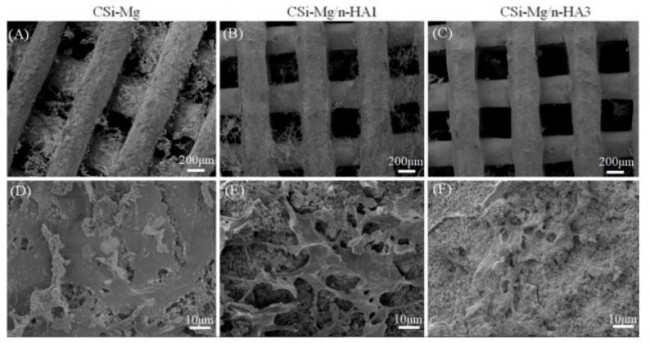 article_bioceramic_5