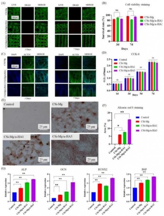 article_bioceramic_8
