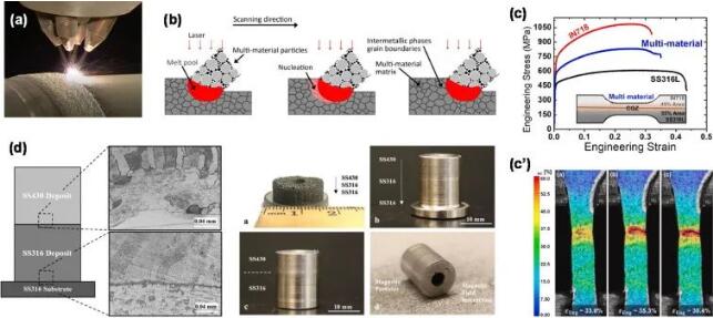 article_multi material_2