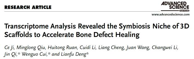 article_bone