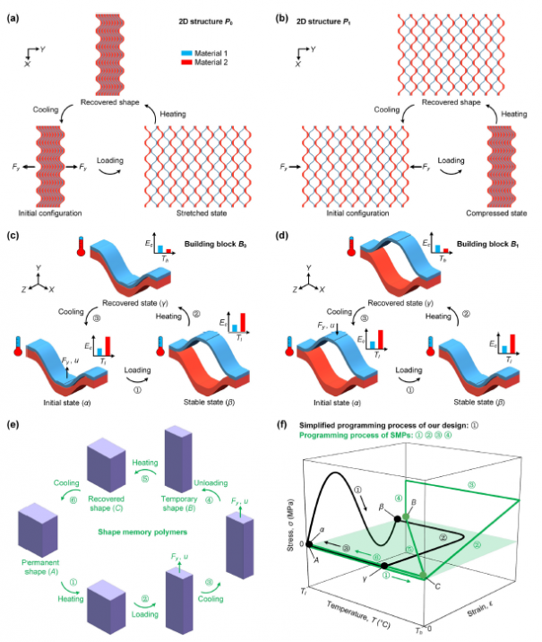 article_Shape_1