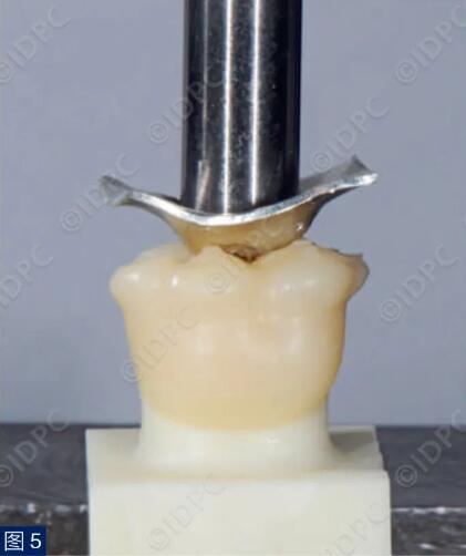 dental_5