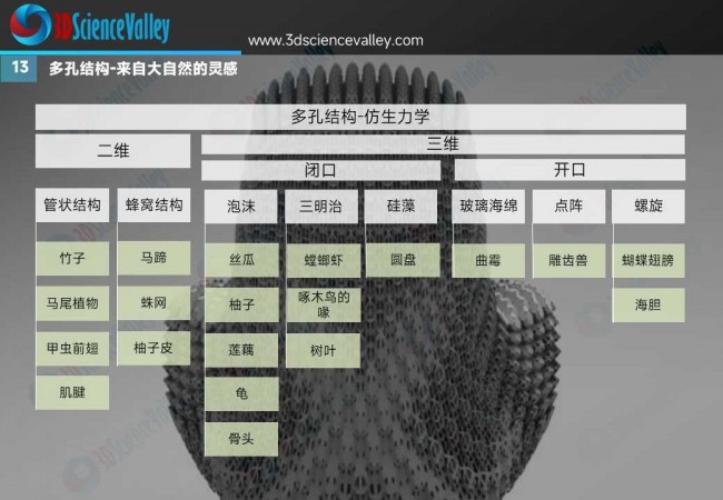 卫星 (16)