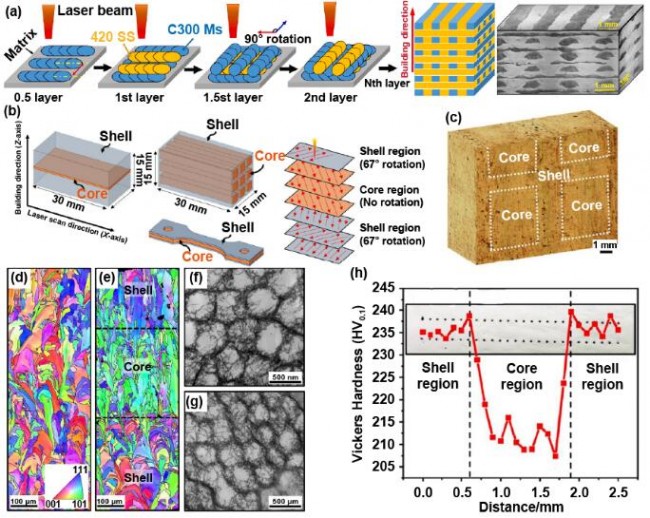 article_Zhongnan_Biomedical_6