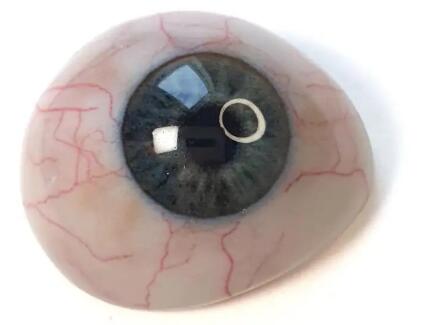 Fraunhofer_eye