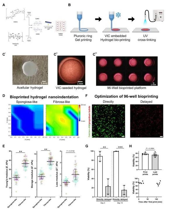 article_Bio valve_1