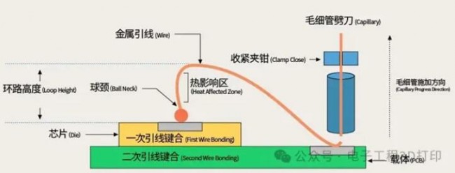 xinpian_1
