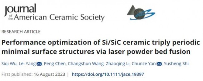 article_Si