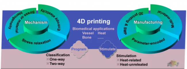 article_4D_2