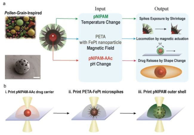 article_pollen_1
