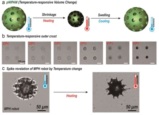 article_pollen_2