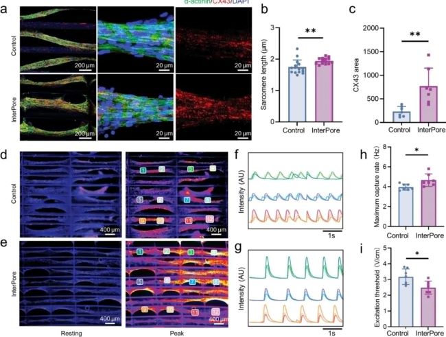 article_fibrin_5