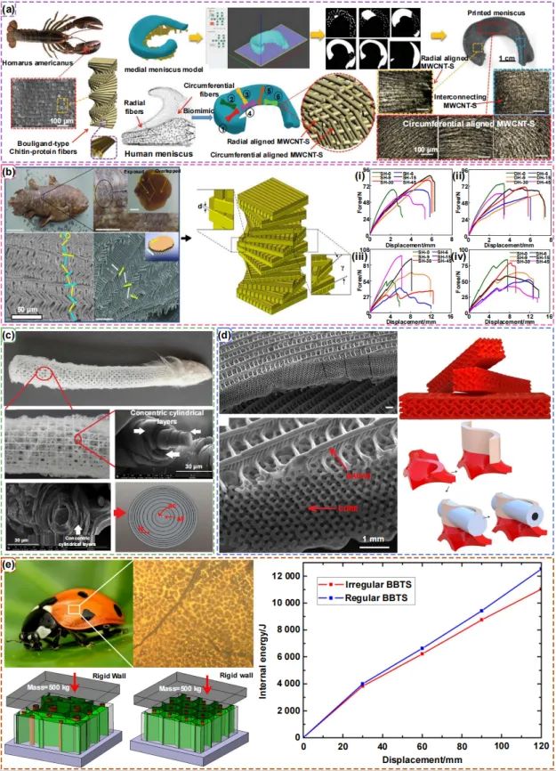 article_Bio_2