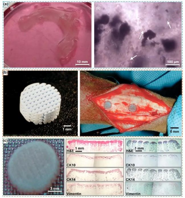 article_Bio_3