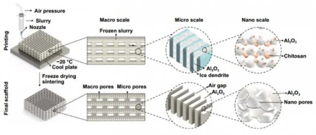 article_Cryogenic_1