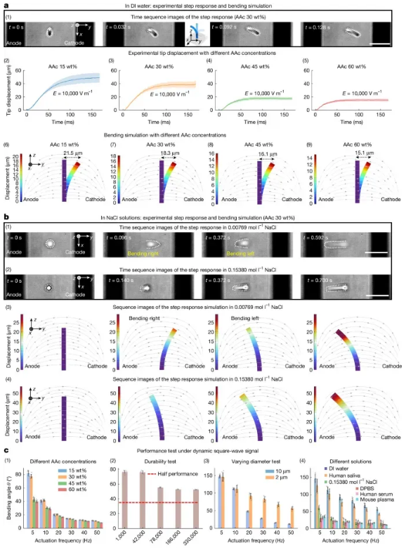 Paper_microB_2