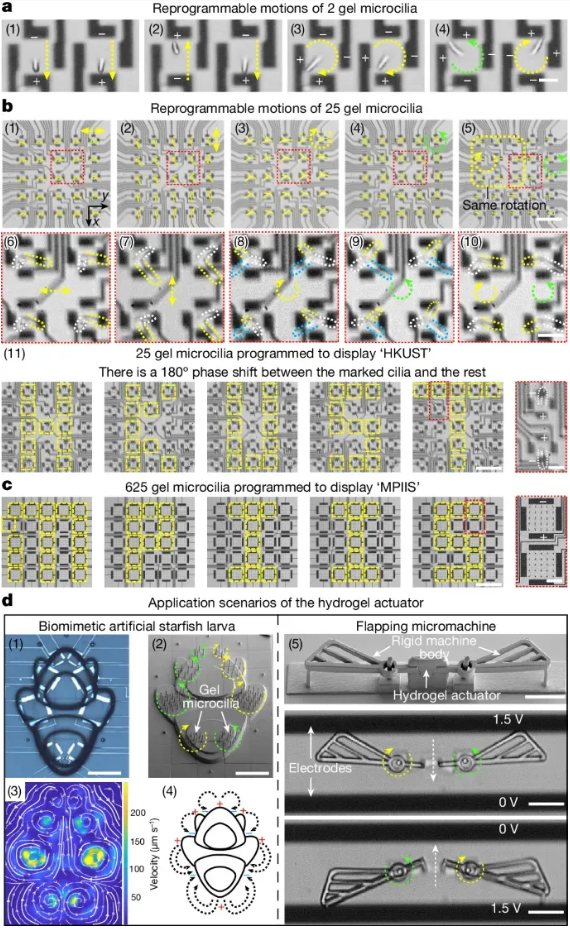 Paper_microB_3