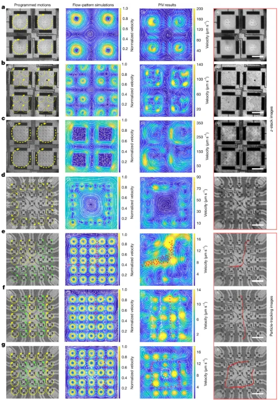 Paper_microB_4