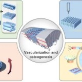 Ruijin_tissue_1