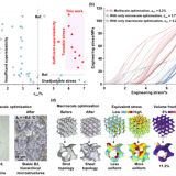 paper_Niti_LJ_5